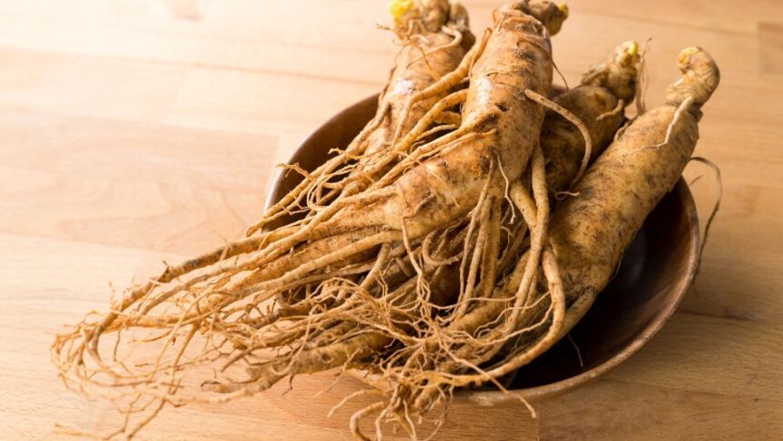 Friss ginseng gyökerek egy fából készült tálban, világos háttér előtt.
