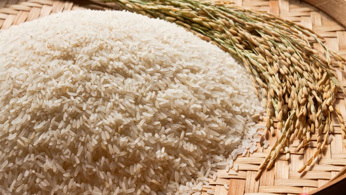 Egy tál basmati rizs, hosszú, karcsú szemekkel, egy fonott kosárban, mellette rizsnövények.
