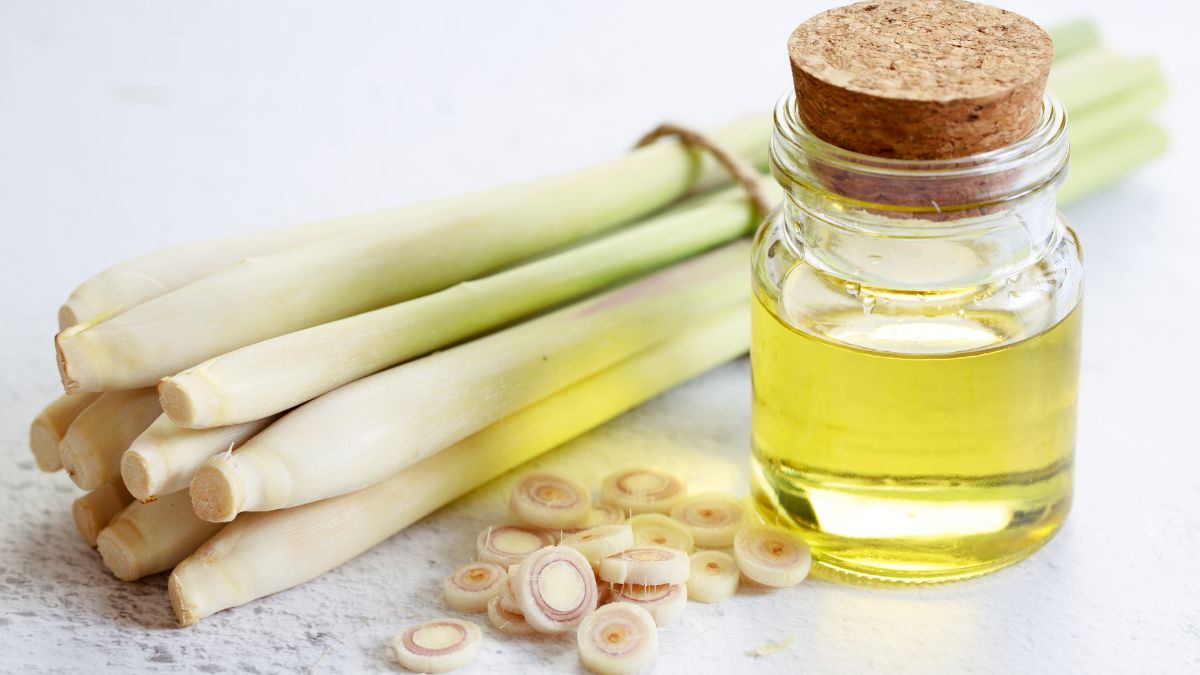 Friss indiai citromfű szárak és egy üveg citromfű illóolaj, amely a bőrápolásban és aromaterápiában is használható.