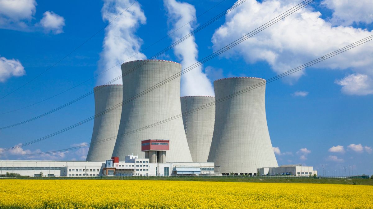 Egy biomassza erőmű, háttérben kék ég és felhők, sárga virágmező előtt.