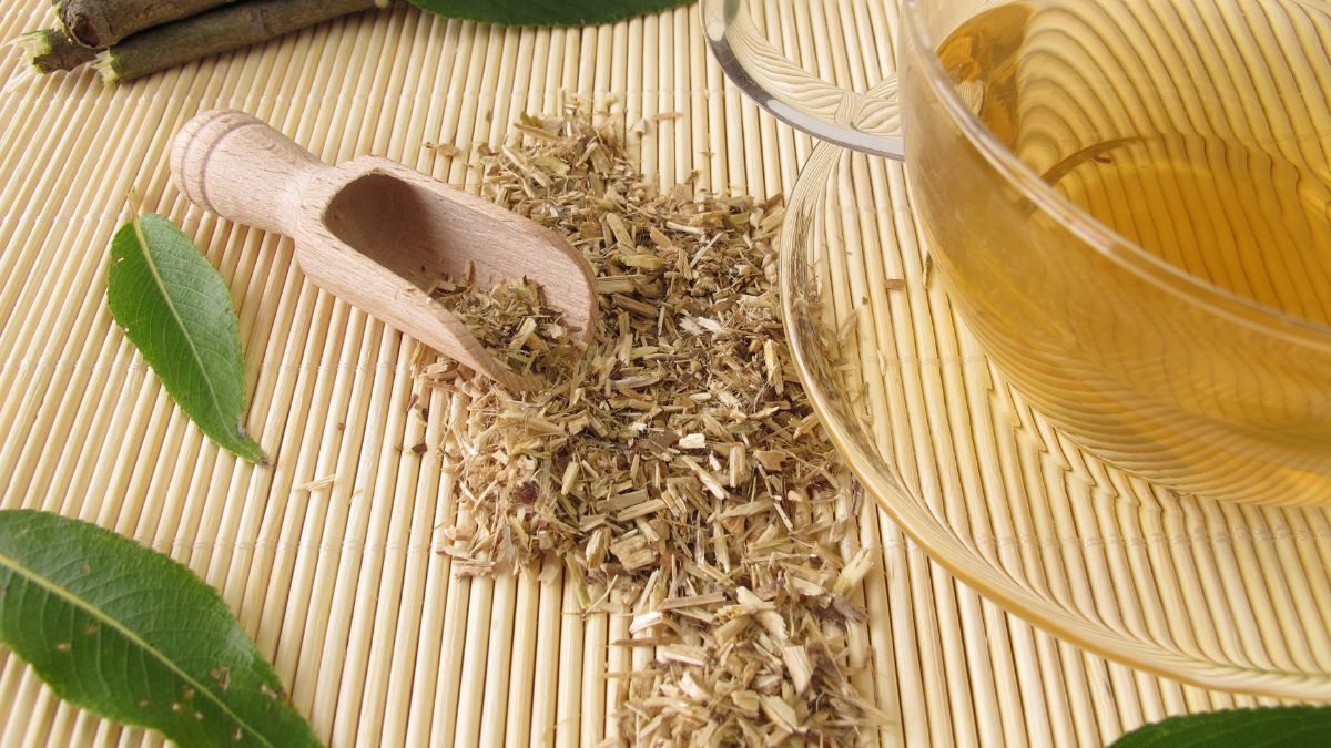 Szárított fehér fűzfakéreg és tea egy üvegben, természetes gyógymódokhoz.