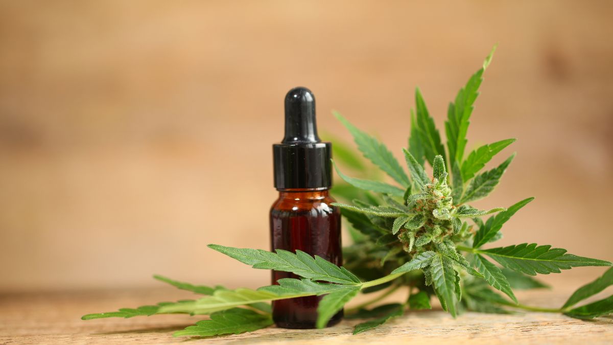 Egy üveg kannabisz olaj cseppentővel, mellette friss kannabisz levél és virág.
