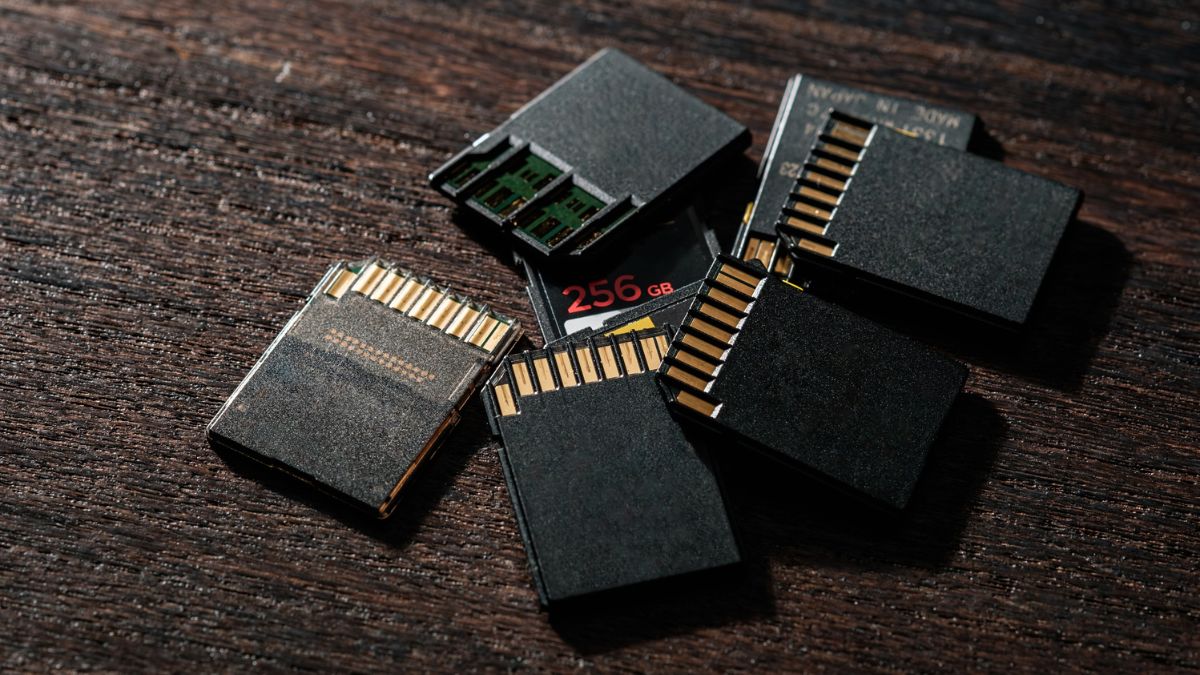 Több SD-kártya, köztük egy 256 GB-os, fa felületen elhelyezve.