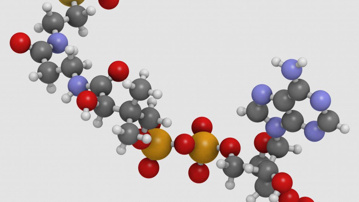 A piroszőlősav molekula 3D-s ábrázolása, színes atomokkal.