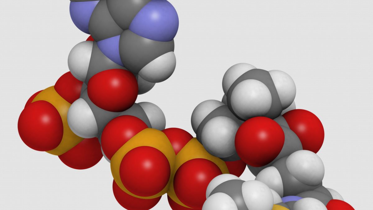 A piroszőlősav molekuláris szerkezete, színes atommodellekből áll.