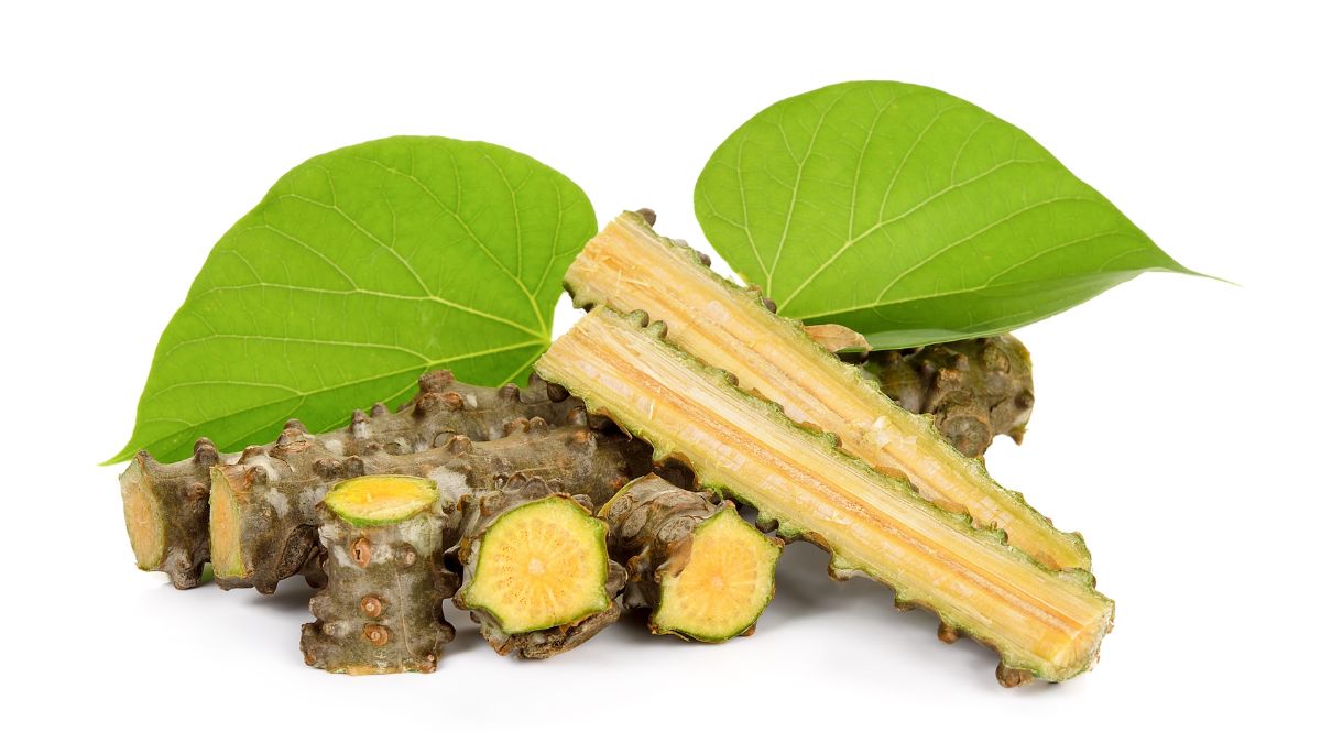 A Tinospora Cordifolia növény szárának és leveleinek közelképe, friss és zöld színben.