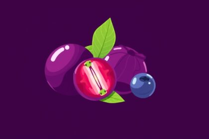 Acai bogyók és más gyümölcsök, egészséges táplálkozás