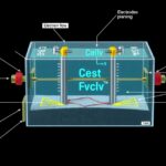 Galvánelem működése és elektronáramlás illusztráció