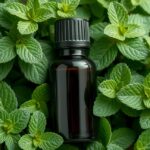 Fodormenta illóolaj üvegpalack friss fodormenta levelek között