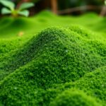 Zöld spirulina alga tápanyagokban gazdag növényekkel.