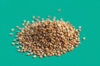 Chia magok: egészséges táplálékforrás omega-3-zsírsavval