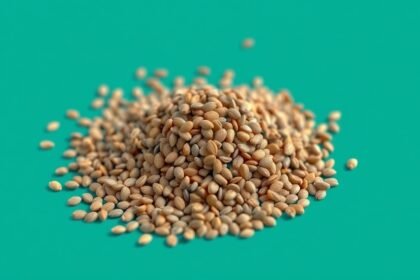 Chia magok: egészséges táplálékforrás omega-3-zsírsavval