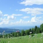 Természetes táj, virágokkal, hegyekkel és felhőkkel az égen.