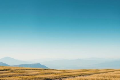 Nyugodt táj fűvel és hegyekkel a háttérben