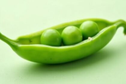 Friss zöld borsó hüvely három borsószemmel