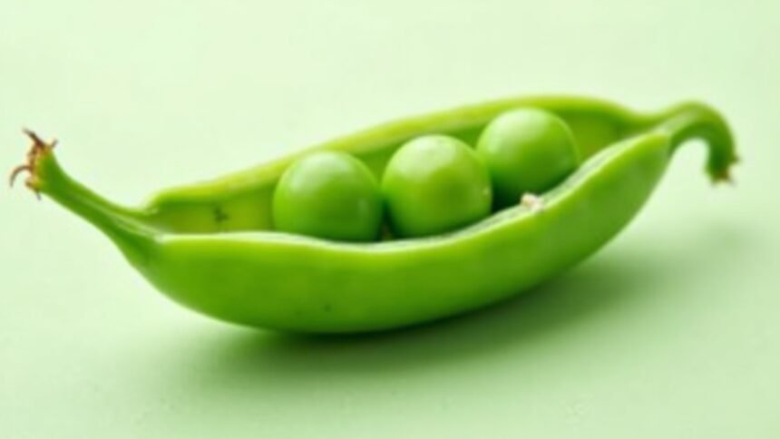 Friss zöld borsó hüvely három borsószemmel