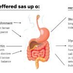 Pektin és a mellékhatások megelőzése: emésztőrendszer ábrázolása