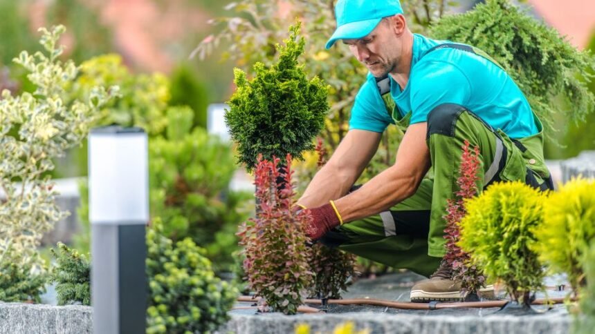 Kertész munkában, különféle növények ültetésével.