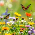 Tavaszi vadvirágok és pillangók színes virágmezőn.