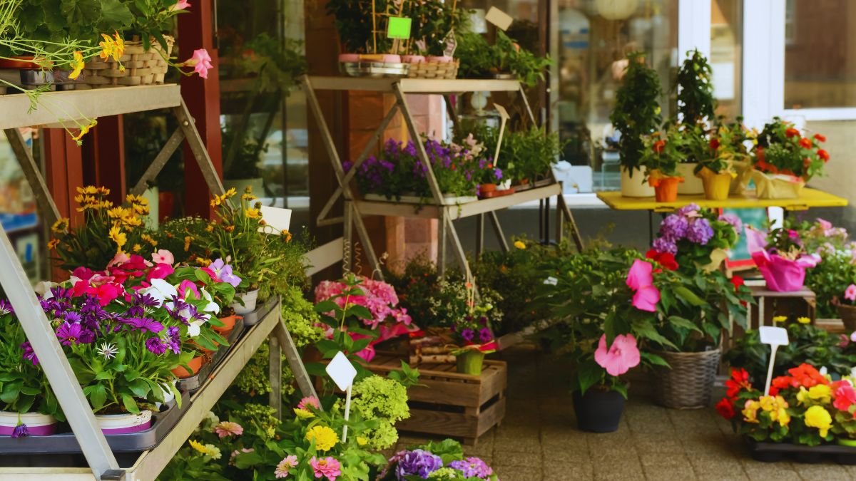Színes nyári virágok különböző edényekben egy virágboltban.
