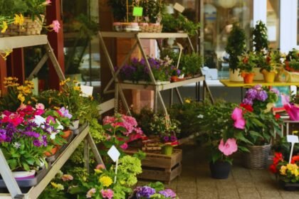 Színes nyári virágok különböző edényekben egy virágboltban.